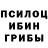 Псилоцибиновые грибы Cubensis Kamila Dadahodjaeva