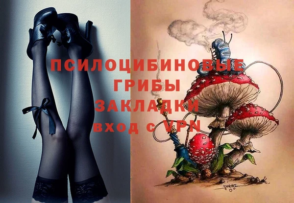 прущие крисы Армянск