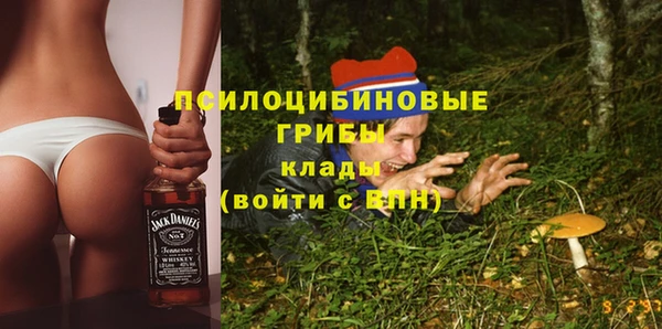 индика Баксан