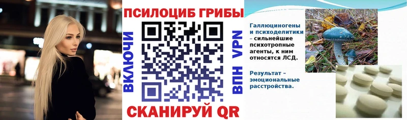 ссылка на мегу как войти  Усть-Джегута  Галлюциногенные грибы мухоморы 